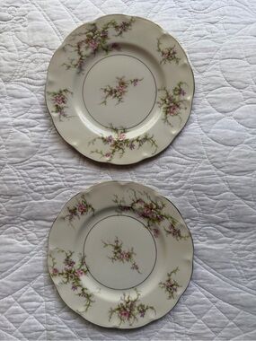 Pair of vintage China Plates, Theodore Haviland Rosalinde Pattern